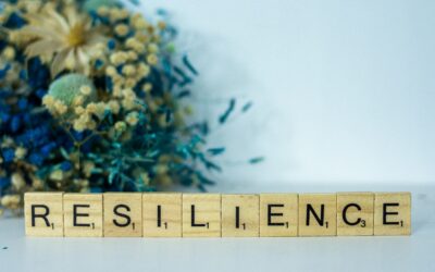 Authors and Resilience: A Recipe for Success
